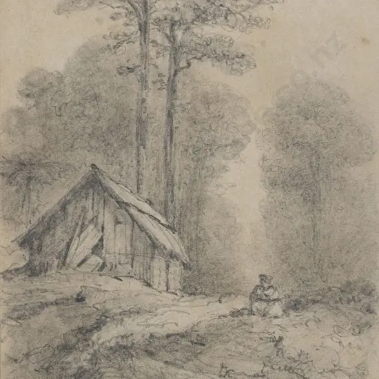William Swainson (1789 - 1855) - Willies Cottage Mungaroa River