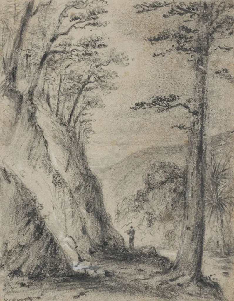 William Swainson (1789 - 1855) - Round the 2nd Hutt Gorge - Birch Trees Image 1++
