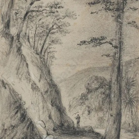 William Swainson (1789 - 1855) - Round the 2nd Hutt Gorge - Birch Trees