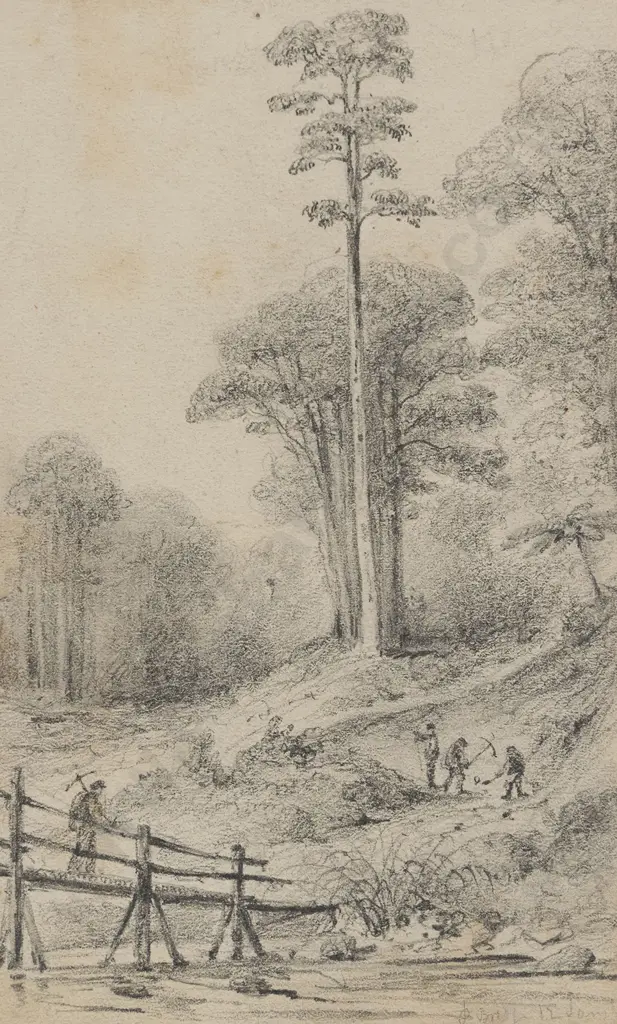 William Swainson (1789 - 1855) - Pakeratihi Bridge New Road 1849 Image 1++