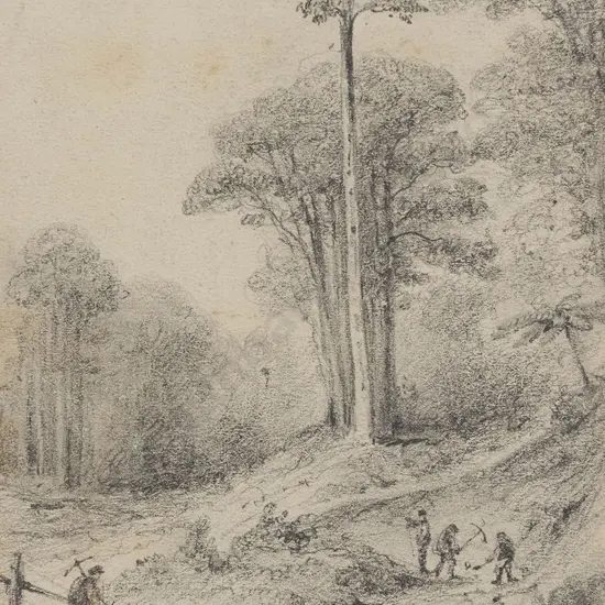 William Swainson (1789 - 1855) - Pakeratihi Bridge New Road 1849