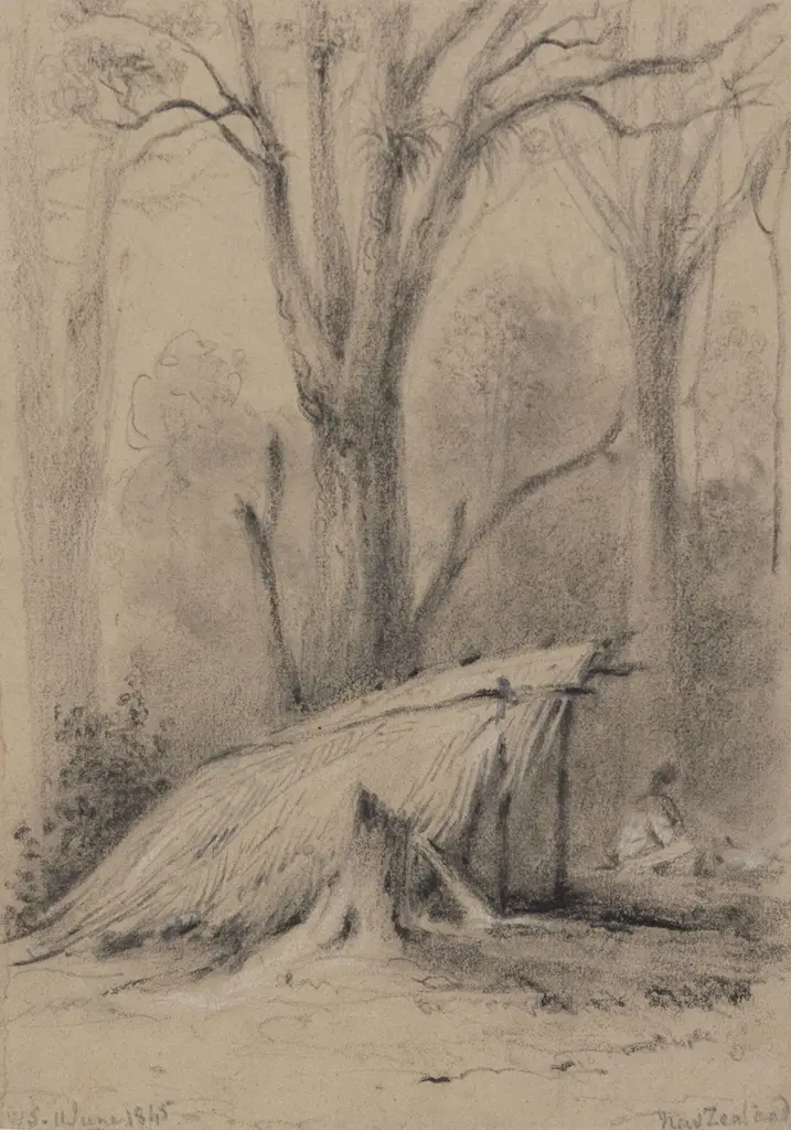 William Swainson (1789 - 1855) - Maurie Hutt - Hawkeshead River Hutt NZd Image 1++