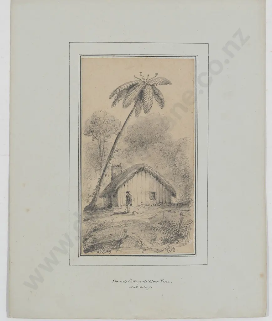 William Swainson (1789 - 1855) - Barnetts Cottage - G'Black Fern Image 1++