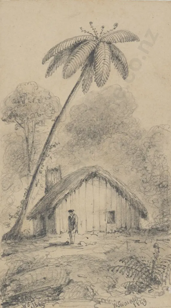 William Swainson (1789 - 1855) - Barnetts Cottage - G'Black Fern Image 1++