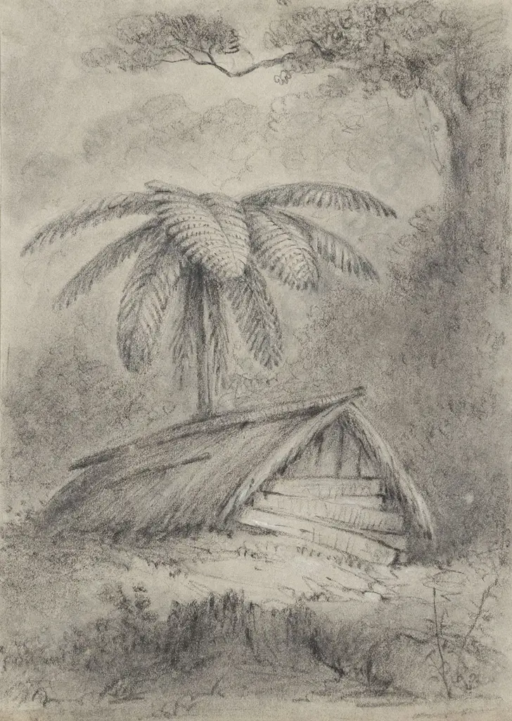 William Swainson (1789 - 1855) - Native Hut and Black Fern Image 1++