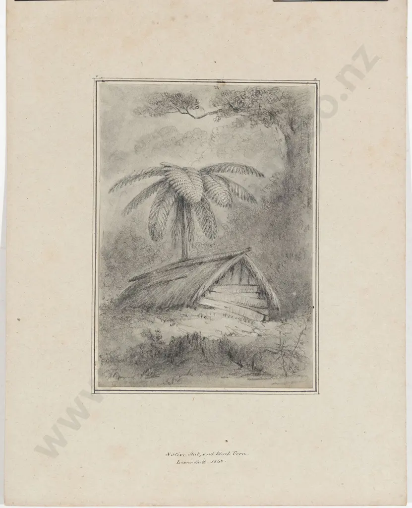 William Swainson (1789 - 1855) - Native Hut and Black Fern Image 1++