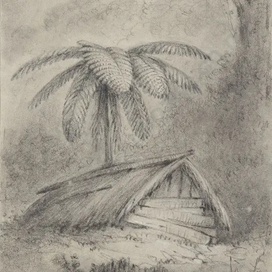 William Swainson (1789 - 1855) - Native Hut and Black Fern