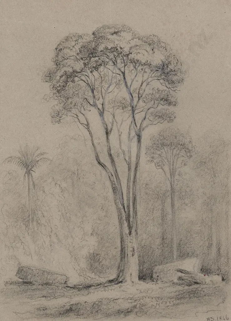 William Swainson (1789 - 1855) - Hutt Forest The Rata Tree Image 1++