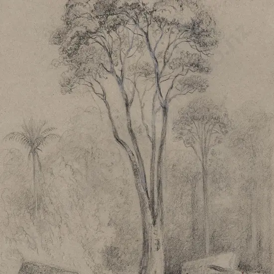 William Swainson (1789 - 1855) - Hutt Forest The Rata Tree