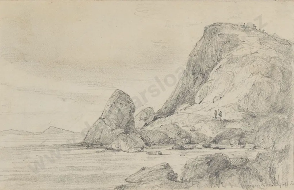 William Swainson (1789 - 1855) - West Point of Browns Cove Image 1++