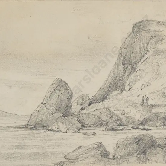 William Swainson (1789 - 1855) - West Point of Browns Cove