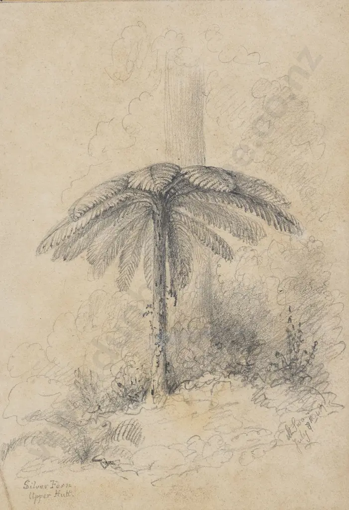 William Swainson (1789 - 1855) - Silver Fern Upper Hutt Image 1++