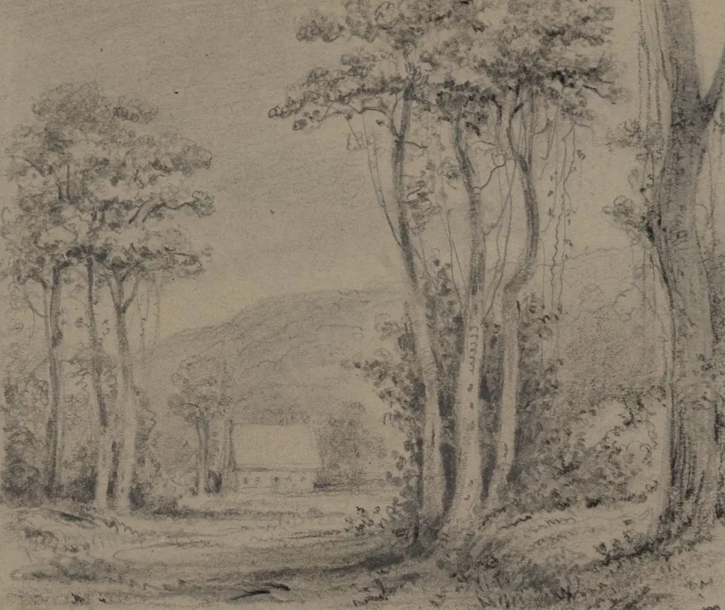 William Swainson (1789 - 1855) - Hawkeshead Image 1++