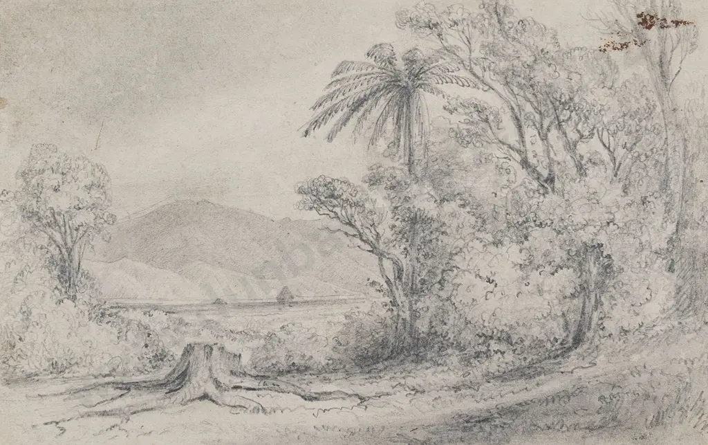 William Swainson (1789 - 1855) - Lowry Bay from Petoni Forest Image 1++