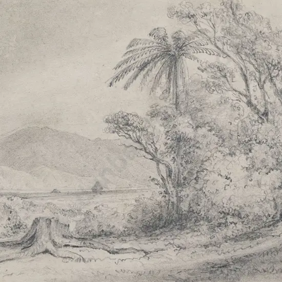 William Swainson (1789 - 1855) - Lowry Bay from Petoni Forest
