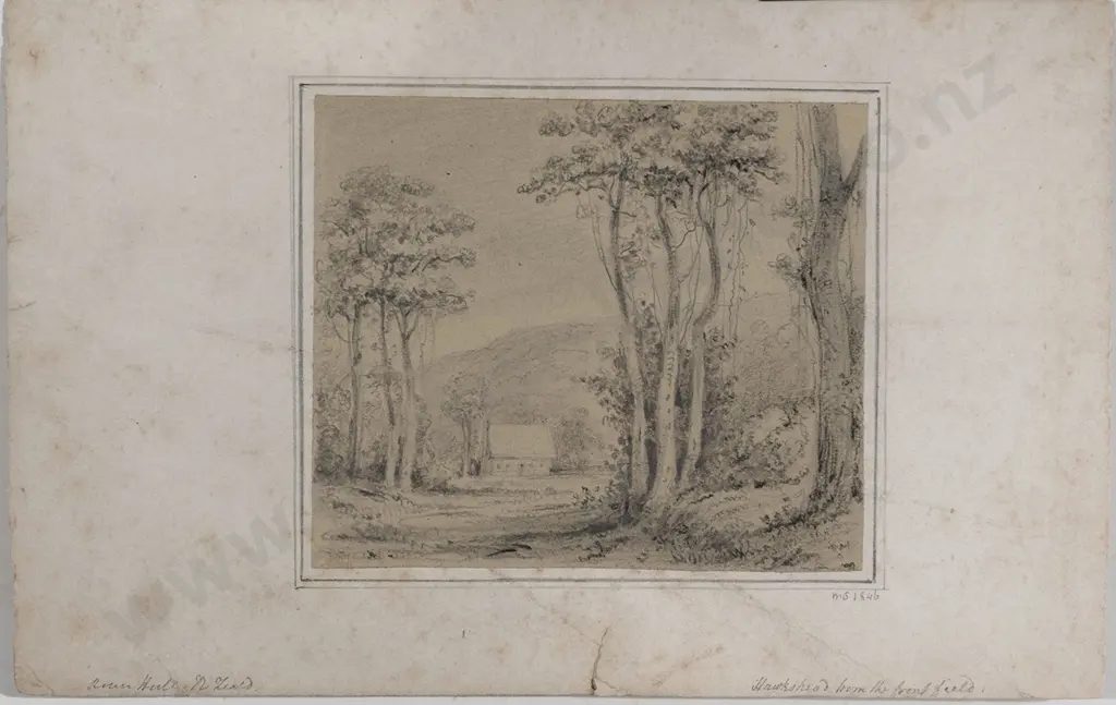 William Swainson (1789 - 1855) - Pukatia Trees Image 1++