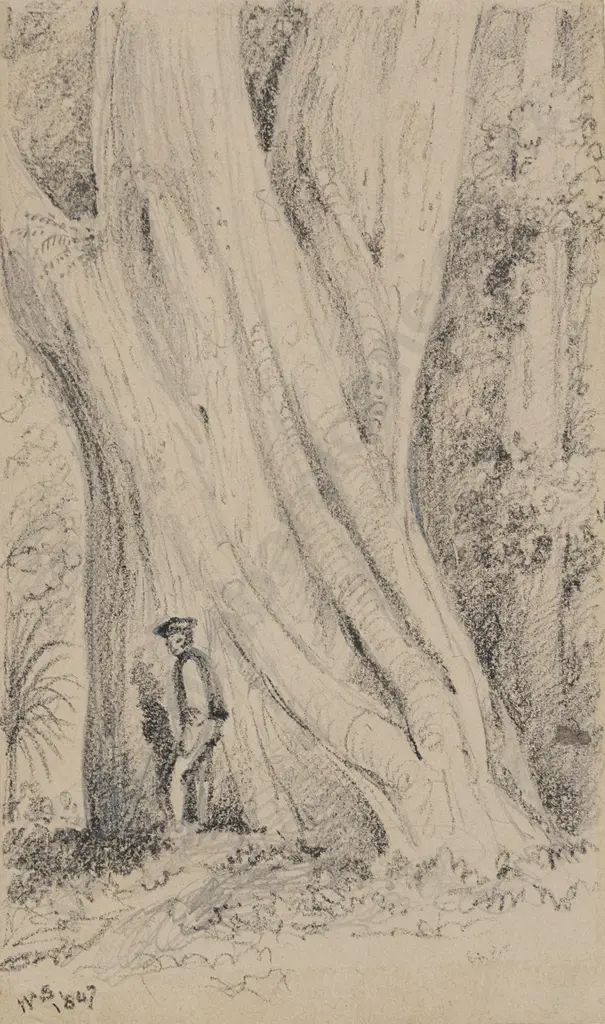 William Swainson (1789 - 1855) - Gigantic Rata Trunk Image 1++