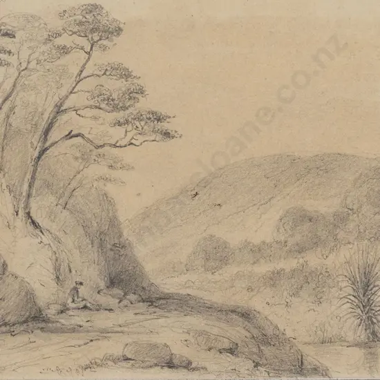 William Swainson (1789 - 1855) - Round The First Hutt Gorge - Looking Down