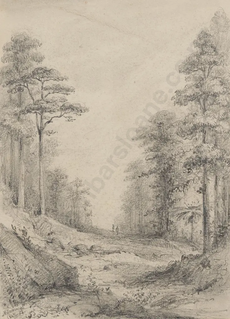 William Swainson (1789 - 1855) - Upper Hutt Road Image 1++