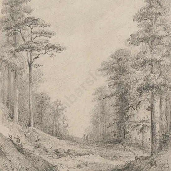 William Swainson (1789 - 1855) - Upper Hutt Road