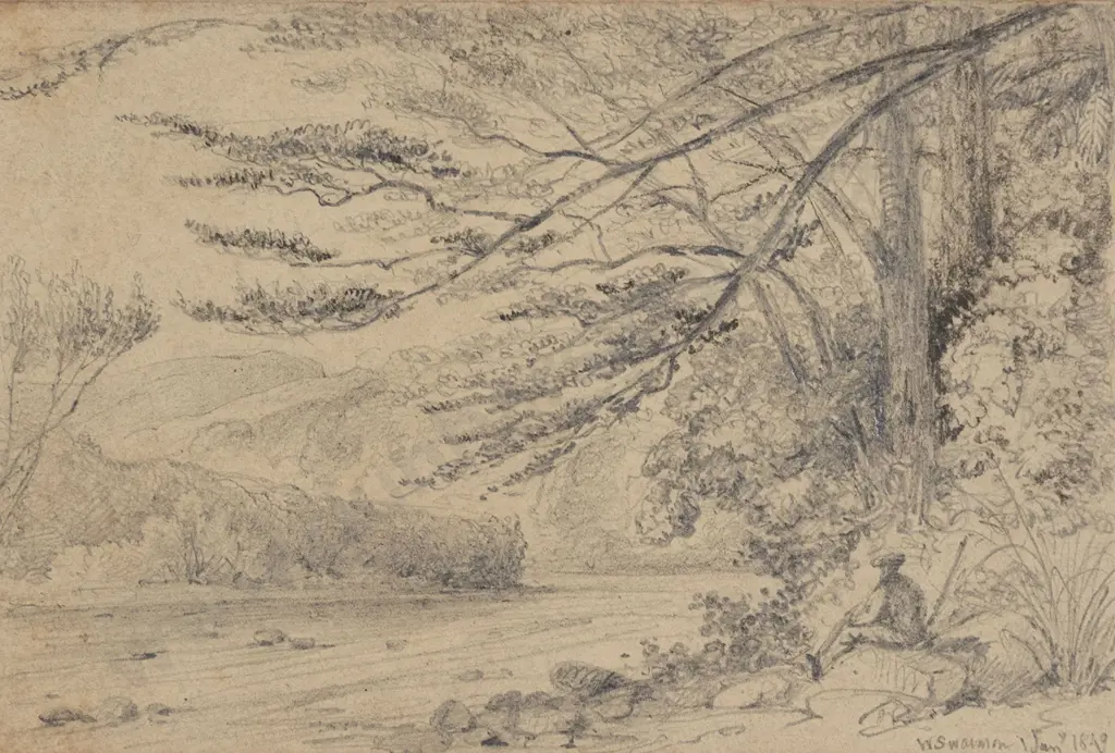 William Swainson (1789 - 1855) - Black Birch Trees Image 1++