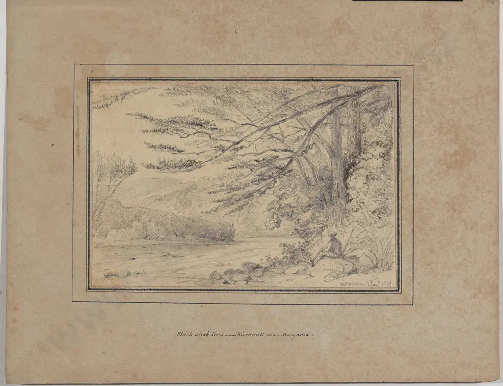 William Swainson (1789 - 1855) - Black Birch Trees Image 1++
