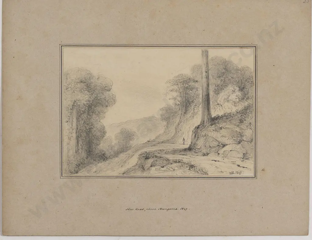 William Swainson (1789 - 1855) - New Road above Mungaroa Image 1++