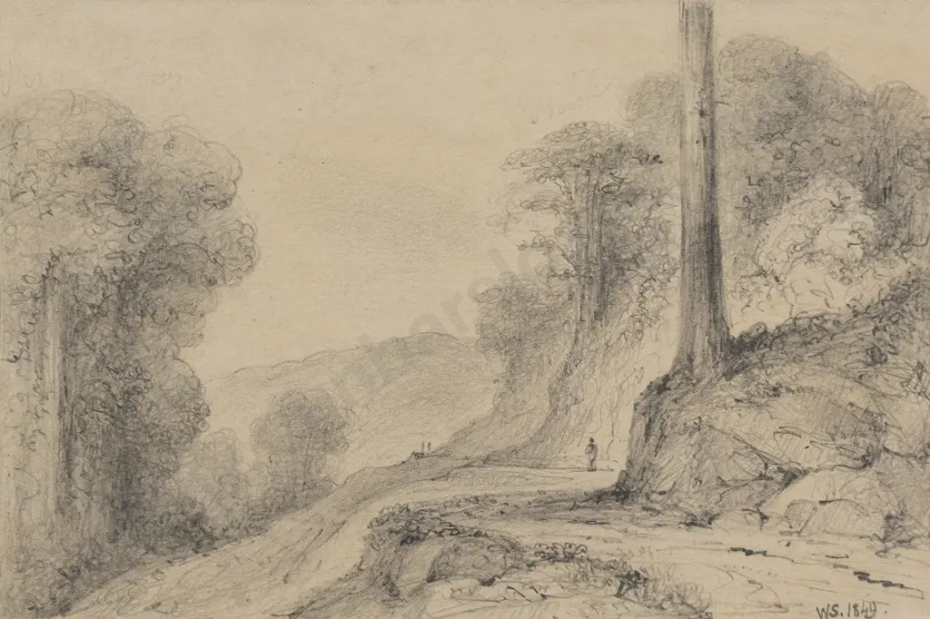 William Swainson (1789 - 1855) - New Road above Mungaroa Image 1++