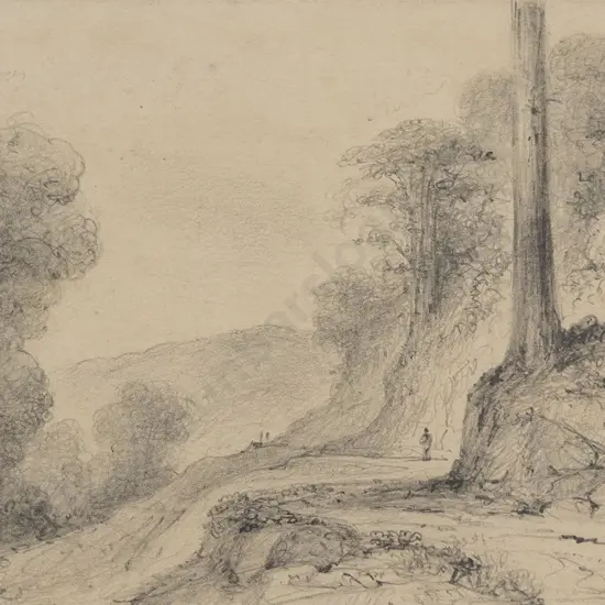 William Swainson (1789 - 1855) - New Road above Mungaroa