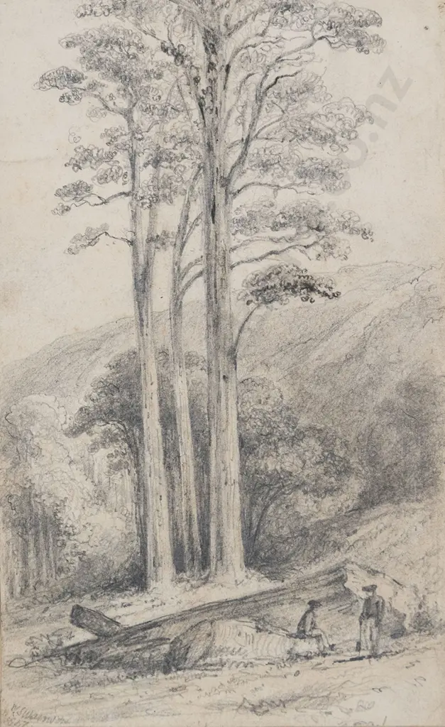 William Swainson (1789 - 1855) - Wirinaki Station No 3 Image 1++