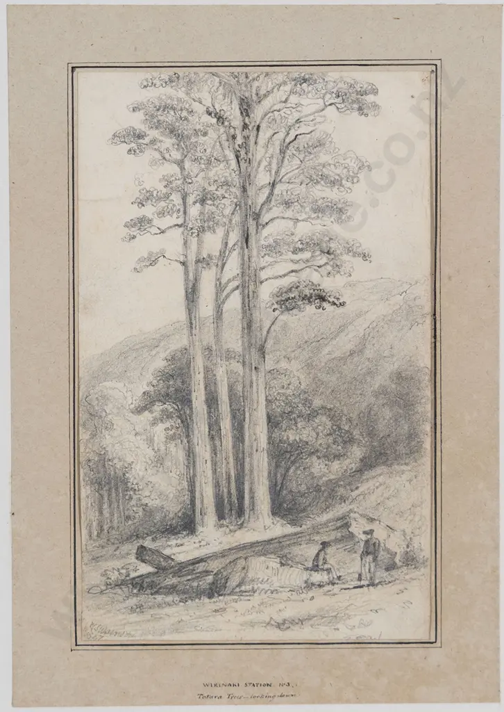 William Swainson (1789 - 1855) - Wirinaki Station No 3 Image 1++