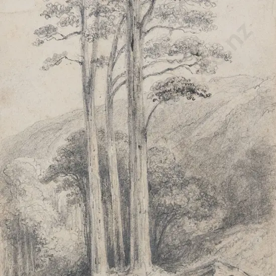 William Swainson (1789 - 1855) - Wirinaki Station No 3