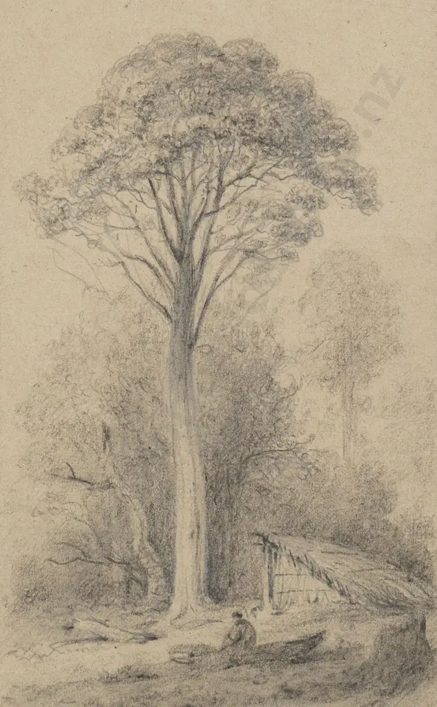William Swainson (1789 - 1855) - Remarkable Rata Tree Image 1++