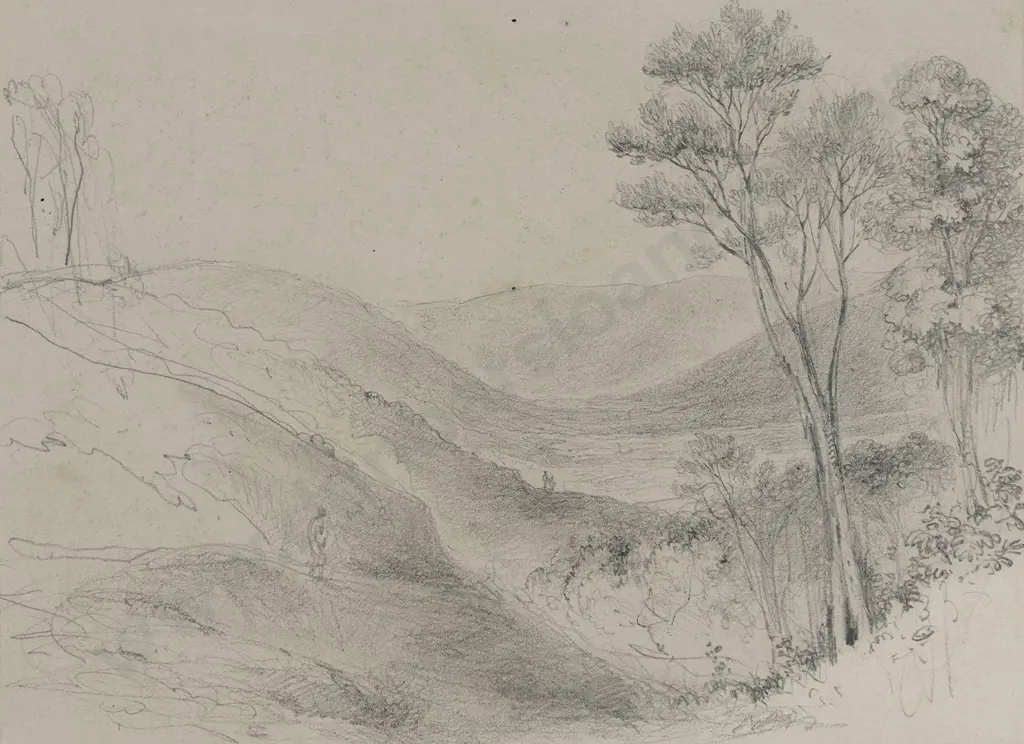 William Swainson (1789 - 1855) - Valley of Mungaroa Image 1++