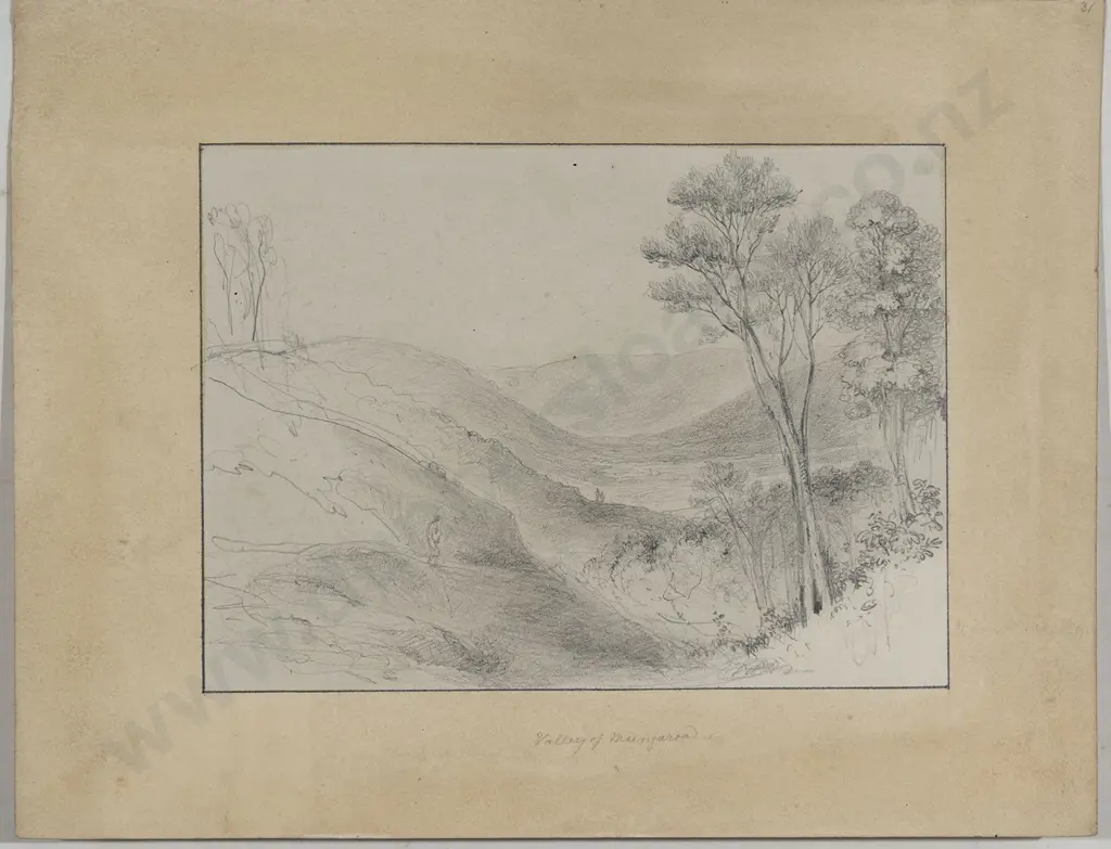 William Swainson (1789 - 1855) - Valley of Mungaroa Image 1++