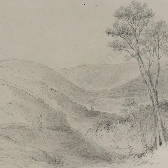 William Swainson (1789 - 1855) - Valley of Mungaroa