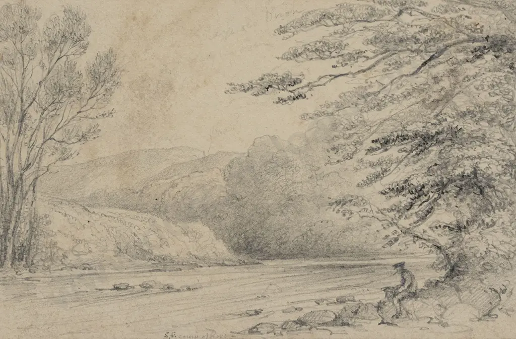 William Swainson (1789 - 1855) - SE Course of the Hutt Image 1++