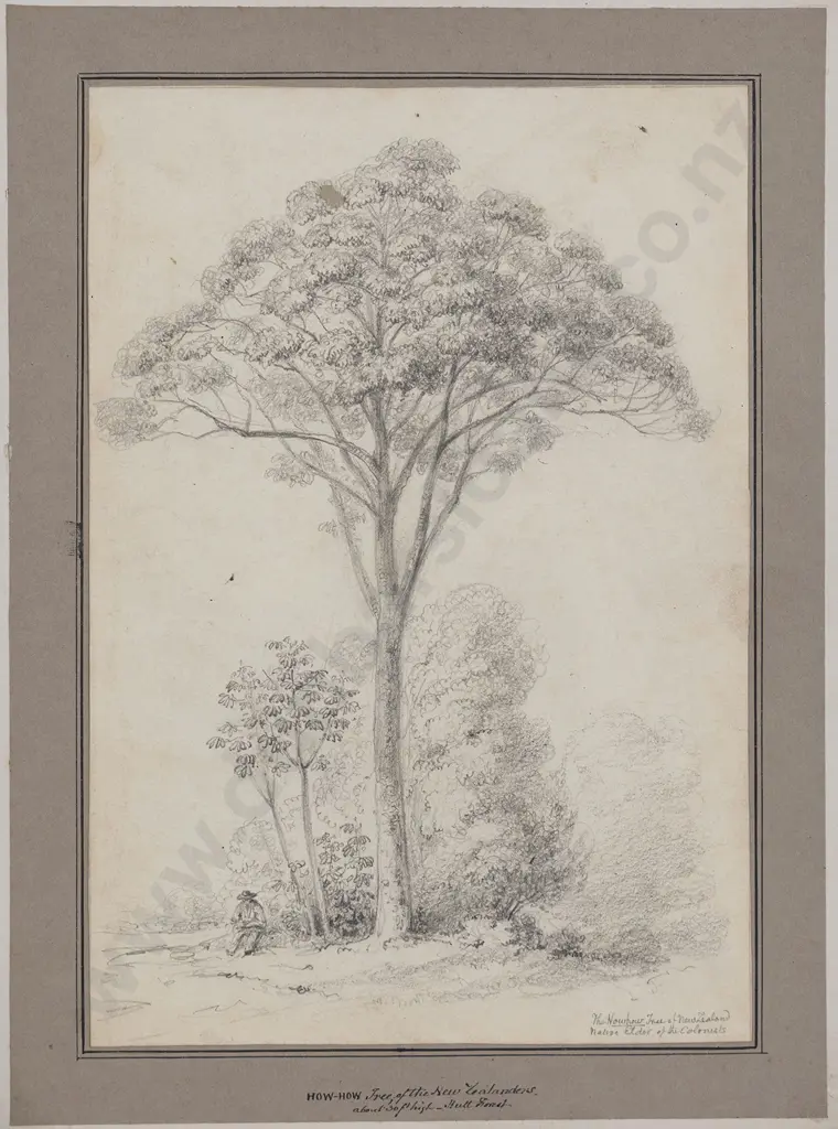 William Swainson (1789 - 1855) - How-How Image 1++
