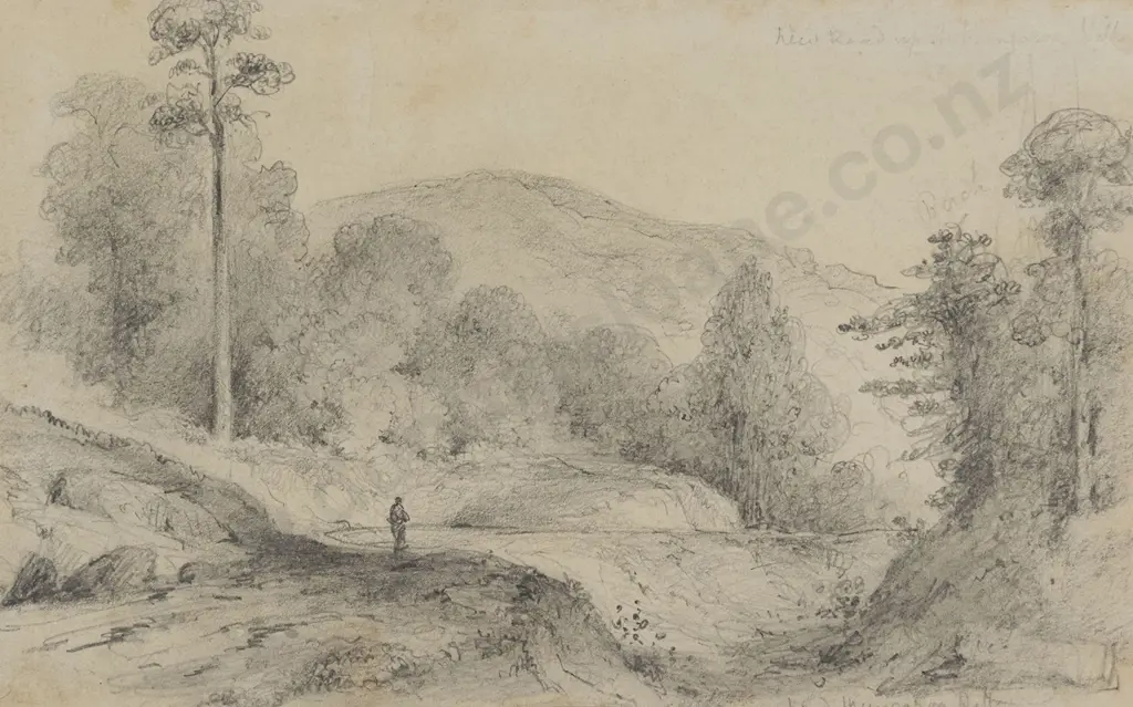 William Swainson (1789 - 1855) - New Road near the Mungaroa River Image 1++