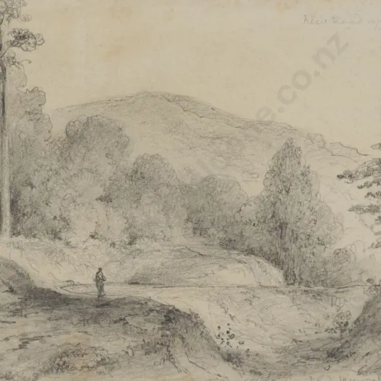 William Swainson (1789 - 1855) - New Road near the Mungaroa River