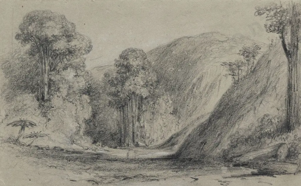 William Swainson (1789 - 1855) - Approach to the First Gorge Hutt Road Image 1++