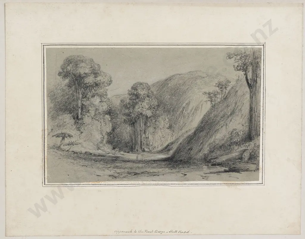 William Swainson (1789 - 1855) - Approach to the First Gorge Hutt Road Image 1++