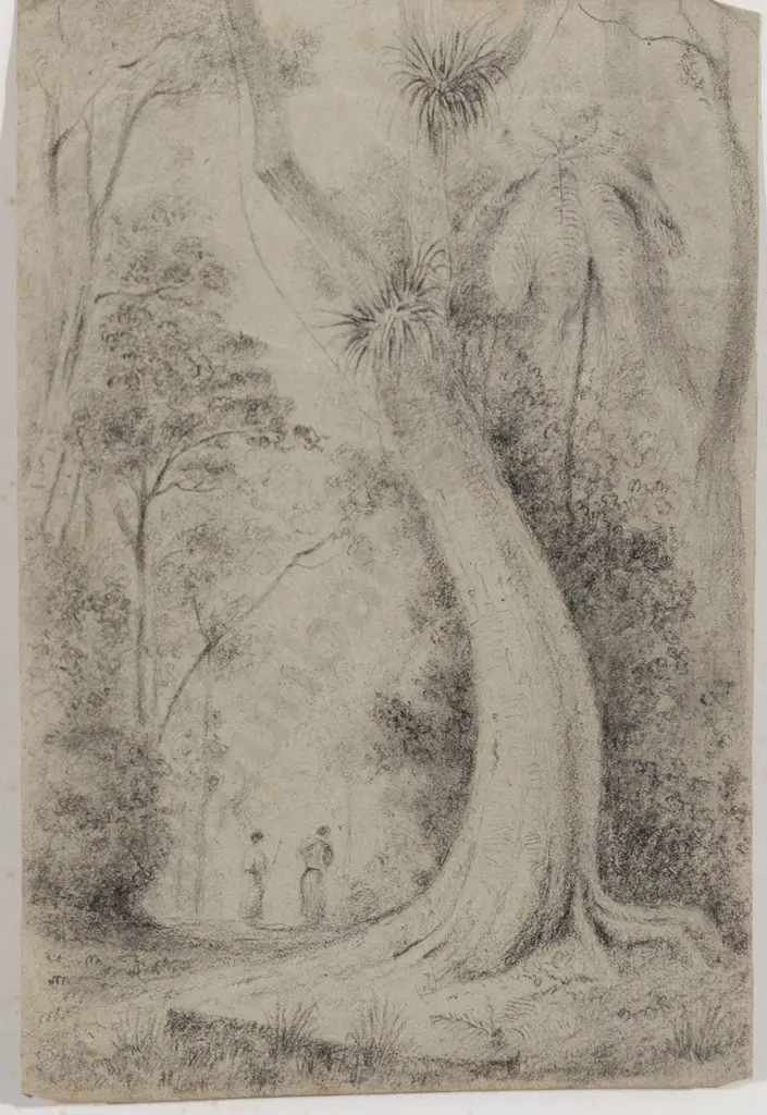 William Swainson (1789 - 1855) - Road Through the Hutt Forest Image 1++