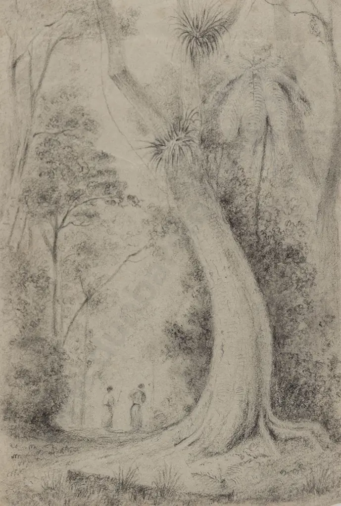 William Swainson (1789 - 1855) - Road Through the Hutt Forest Image 1++