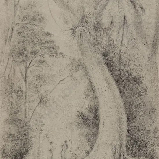 William Swainson (1789 - 1855) - Road Through the Hutt Forest