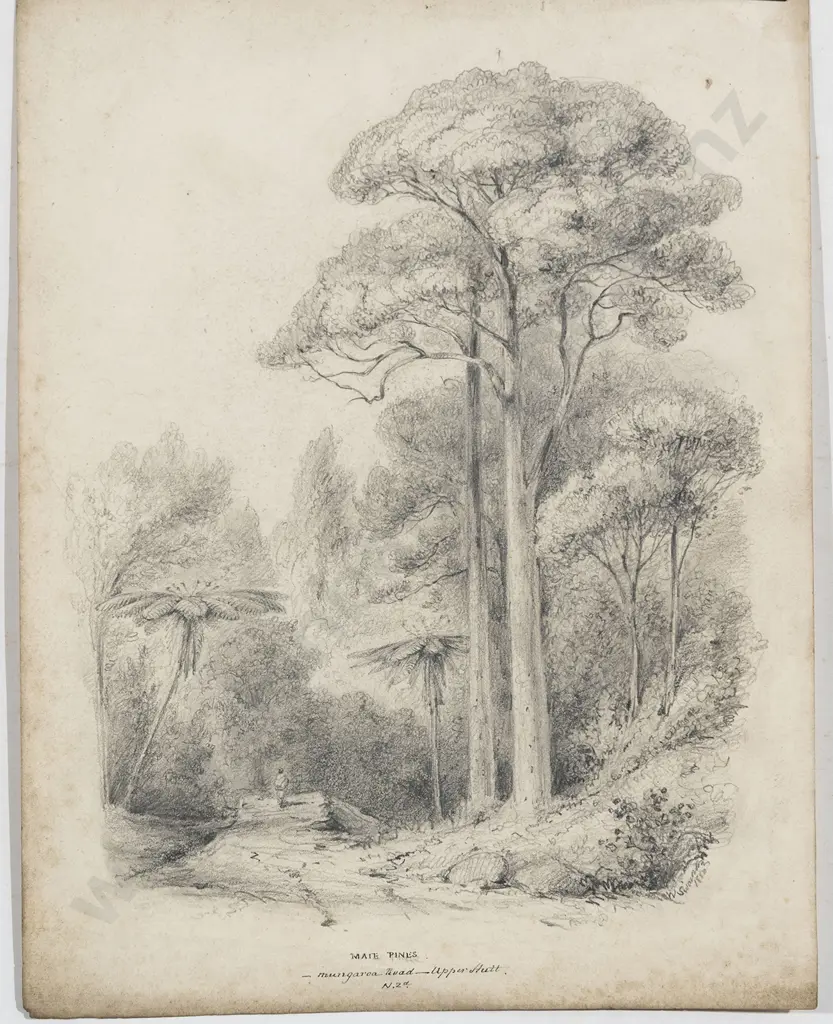 William Swainson (1789 - 1855) - Maie Pines Image 1++