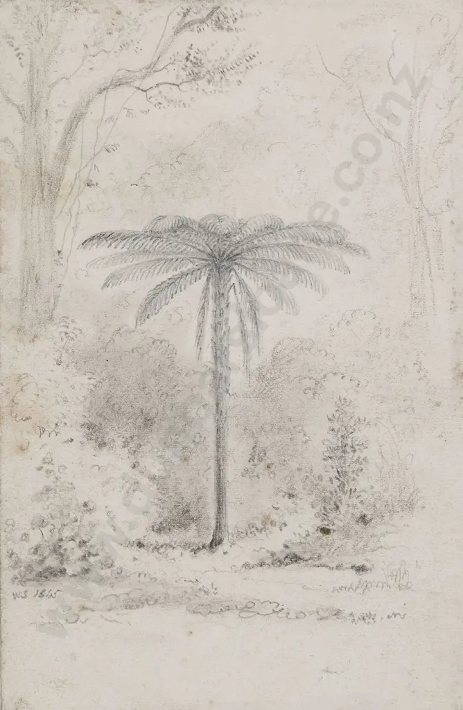 William Swainson (1789 - 1855) - Silver-leaved Fern Hutt Forest Image 1++