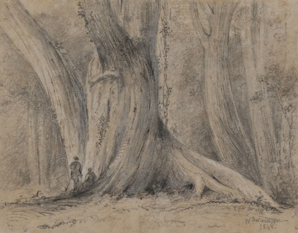 William Swainson (1789 - 1855) - Remarkable Rata Image 1++