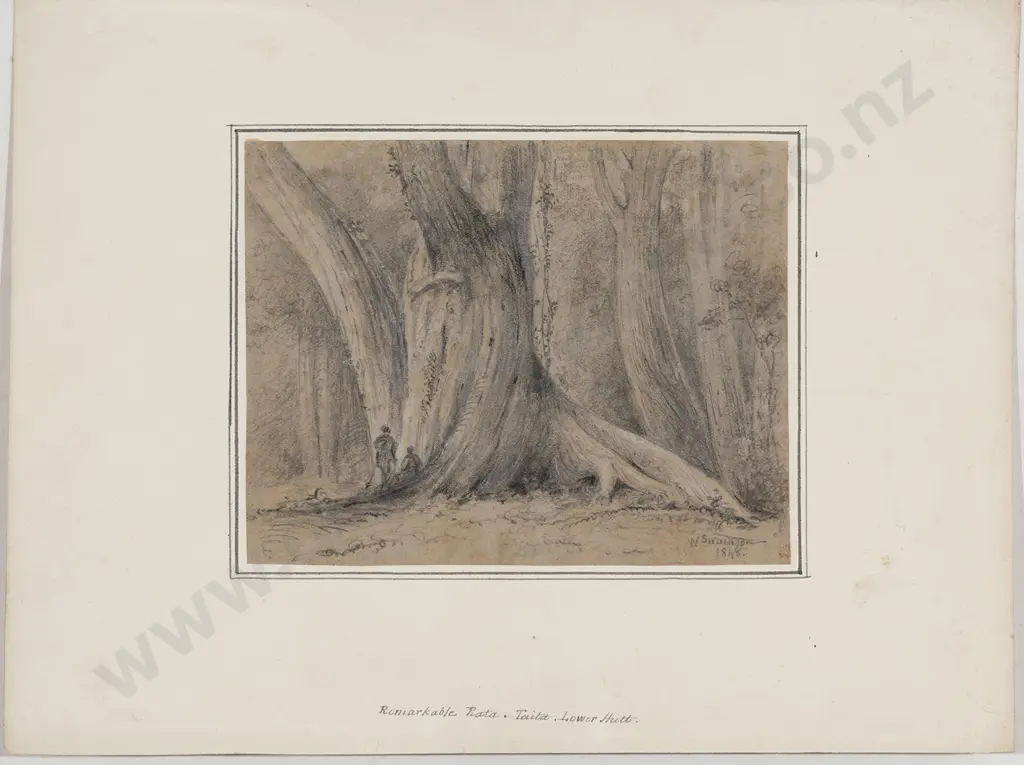 William Swainson (1789 - 1855) - Remarkable Rata Image 1++