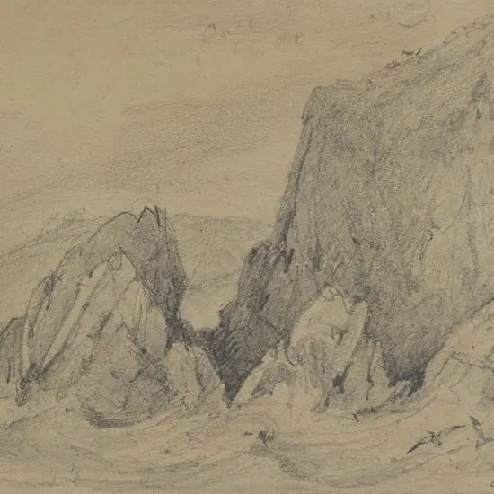 William Swainson (1789 - 1855) - Browns Point - Kapiti Island